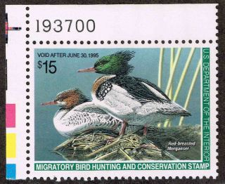 Rw 61 Us Fed Duck Stamp Migratory Bird Hunting License 1994.  Vf Mnh.  Plate