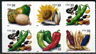 Sc 4017c - 2006 39¢ Crops Of America - Booklet Pane Of 6 (two Beans)