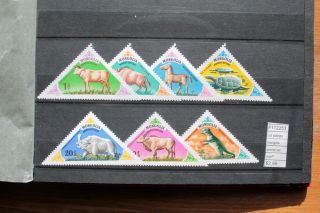 Lot Stamps Mongolia Animal Set Mnh (f112253)