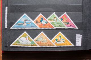 Lot Stamps Mongolia Birds Set Mnh (f112259)