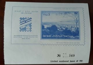 1991 Israel - Poland Binational Stamp Exhibit Imperf Souvenir Label - 750 Made