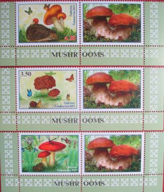 Tajikistan 2019 Mushrooms,  Butterfly 3 V,  Labels Perforated Mnh