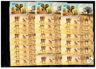 25x Umm Al Quwain - Mnh - Animals - Elephants -