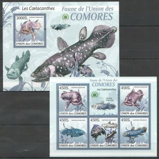 Z1101 2009 Comoros Marine Life Coelacanthes Fishes Kb,  Bl Mnh