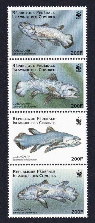 Wwf Coelacanth Strip Of 4v From Comoro Is.  Mnh Mi 1261 - 1264 Sc 833 A - D