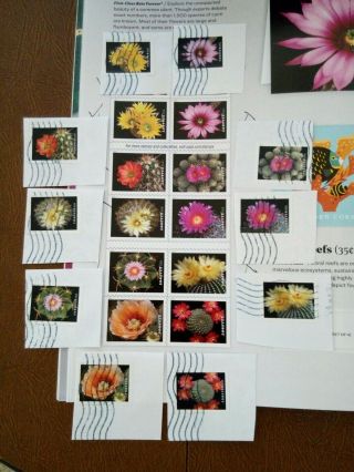 2019 Stamps: One Full Set Of 10 Stamps : Usa Sc 5350 - - 5359: Cactus Flowers