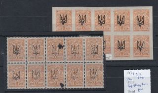 Ukraine (9g78) Card Of 2 X Blocks 10 1920 Kharkov Opts With Trident.
