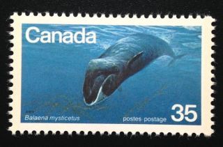 Canada 814 Mnh,  Endangered Wildlife - Bowhead Whale Stamp 1979