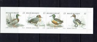 Belgium: 1989,  Ducks,  Stamp Booklet,  Mnh