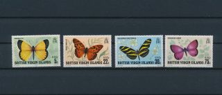 Lk79478 British Virgin Islands Insects Bugs Flora Butterflies Fine Lot Mnh