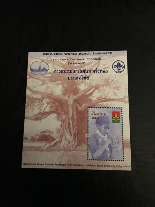 B11.  Gambia.  20th World Scout Jamboree Ss.  Sc 2651.  2002.  Mnh.  Cv $6.  50