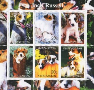 Jack Russell Dog Animal Pet And Puppies Kyrgyzstan 2000 Mnh Stamp Sheetlet