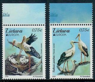 Lithuania 2019 White Storks On Europa National Birds Set Of Two Stamps Mnh