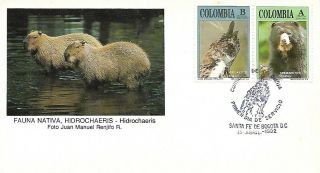 1992 Colombia Birds Animals On Fdc