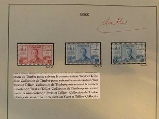 Iraq Stamps Lot - Faisal Ii Stamps On Special Page Mlh Rr - Iq641