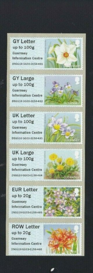 Guernsey:post & Go,  " Flowers " Info Centre Collector Strip,  2018 Mnh Gg03