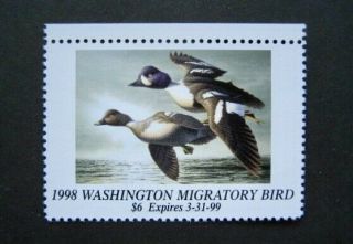 1998 Washington State Duck Migratory Waterfowl Stamp Mnhog