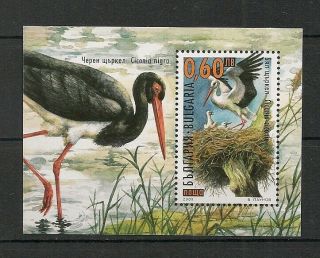 Bulgaria 2000 Wildlife Fauna Birds Vögel Oiseaux Stork Compl.  Ss Mnh