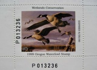 1999 Oregon State Duck Migratory Waterfowl Stamp MNHOG Hunter - Type 3