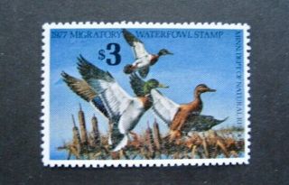 1977 Minnesota State Duck Migratory Waterfowl Stamp Mnhog