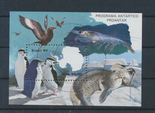 Lk63585 Brazil Penguins Animals Birds Good Sheet Mnh