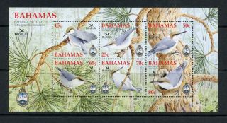 S298 Bahamas 2006 Birds Sheet Mnh