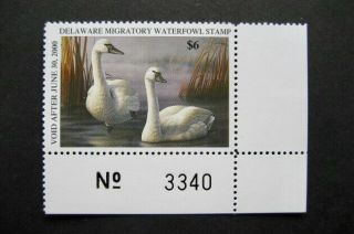 1999 Delaware State Duck Migratory Waterfowl Stamp Mnhog Hunter - Type