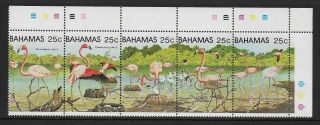 1982 Bahamas: 25c Greater Flamingos Horizontal Cylinder Strip Of 5 Sg617a Mnh