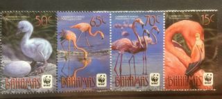 Bahamas 2012 Flamingoes Mnh Set Of 4
