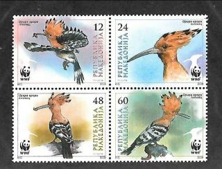 Macedonia Sc 432 Nh Issue Of 2008 - Block Of 4 - Wwf - Birds