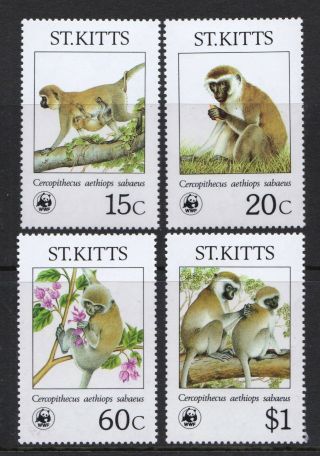 St Kitts 1986 World Wildlife Fund - Green Monkeys - Mnh Set - Cat £17.  25 - (60)