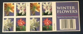 Winter Flowers Scott 4862 - 4865 Nh Booklet Of 20 Forever Stamps 2014