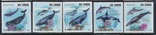 M181 Nh 2009 St.  Thomas Comp.  Set Of 5 Diff.  Sealife Whales Orca