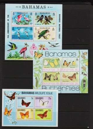 Bahamas - Souvenir Sheets - Birds And Butterflies - See Scan