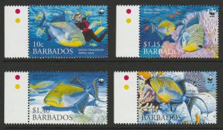 Barbados - 2006 Endangered Species - Queen Triggerfish Mnh Set