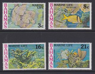 Bahamas 1977 Marine Life Complete Set Sg493 - 496