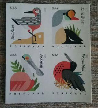 2015 Imperforate Coastal Birds Postcard Rate U.  S.  4991 - 94b Block Of 4