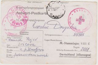 Germany Serbia 1942 P.  O.  W.  Card Sabac (red Cross) To Stalag Viii C Sagan