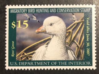 Tdstamps: Us Federal Duck Stamps Scott Rw73 $15.  00 Nh Og