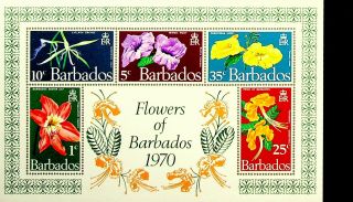 Barbados Flower Orchid Minnie Root Christmas Hope Pride Easter Lily Sheet