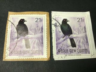 Papua Guinea 21t Bird Of Paradise Rare May 1992 Inscribed Stamp.