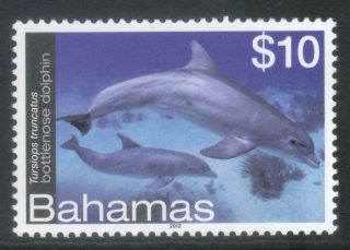 Bahamas 2012 Marine Life Sg1615 Mnh Cat £26