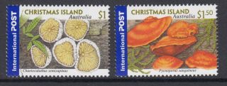 Christmas Island 2001 International Stamps - Fungi