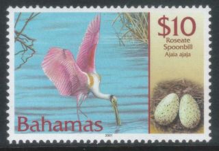 Bahamas 2001 Birds And Their Eggs Sg1264 Mnh