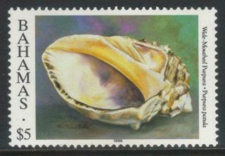 Bahamas 1996 Sea Shells Sg1072 Mnh