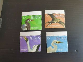 Nevis Birds Mnh (h)