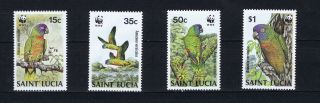 Db169 Saint Lucia 1987 Birds - Lucia Amazon Wwf Mnh