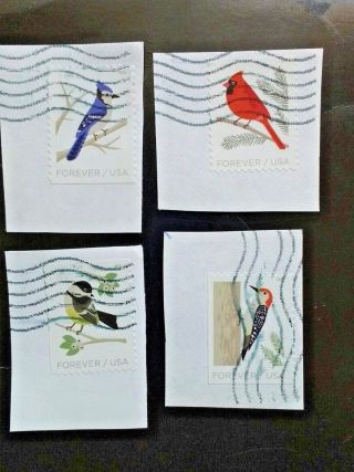 2018 Stamps: 2 Full Sets Of 8 Stamps: Sc 5317 - Sc 5320: Birds In Winter.  Double