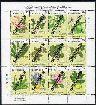 St Vincent Mnh 1992 Medicinal Plants Of The Caribbean - Specimen Minisheet