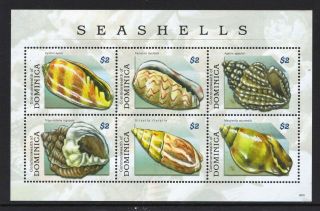 Dominica 2009 Sea Shells - Mnh Miniature Sheet - Cat £10 - (202)